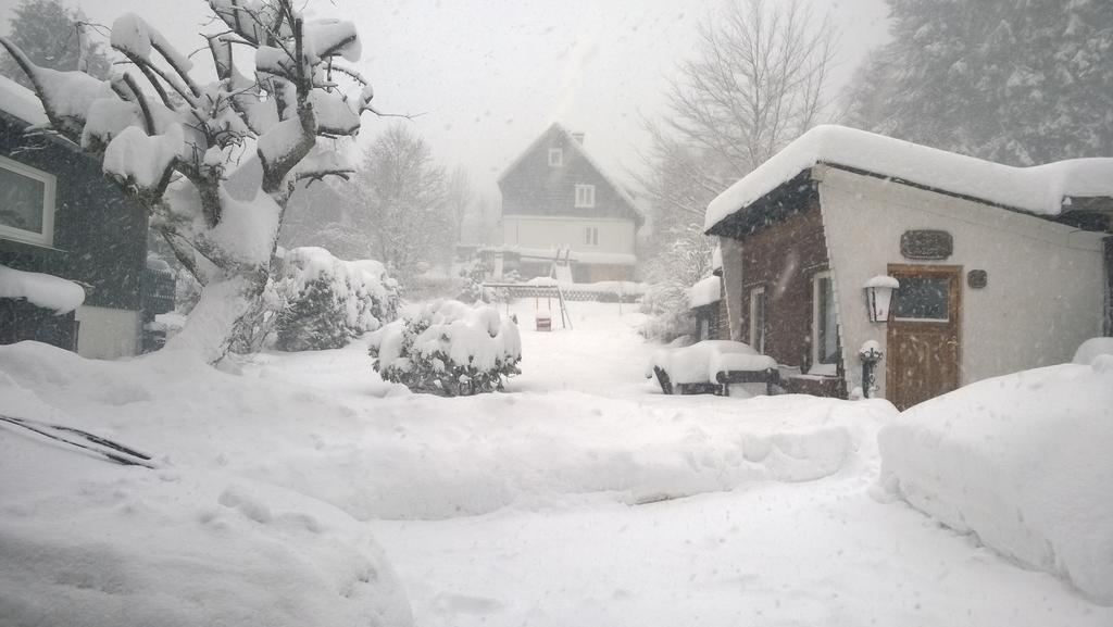 Gaestehaus Wetzel Braunlage Εξωτερικό φωτογραφία